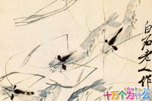 齐白石简介 揭秘齐白石是一个什么样的人 齐白石简介 揭秘齐白石是一个什么样的人