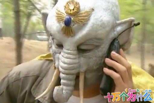 白象精简介 白象精是谁的坐骑