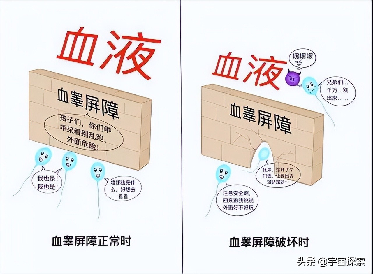 一张化验单就知道女人交过几任男友?来看看是不是真的
