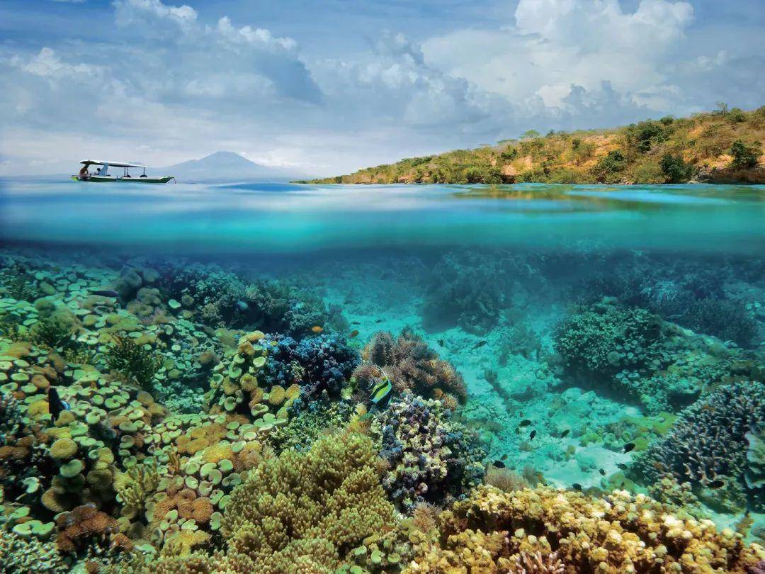 科普:你真的了解我们居住的星球吗?盘点62个关于地球的惊人事实