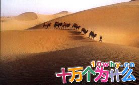 为何从我国到古罗马的路称作丝绸之路图片1 为何从我国到古罗马的路称作丝绸之路图片1